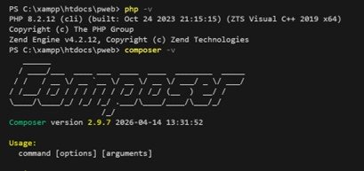 Gambar 1. Pengecekan versi PHP menggunakan terminal